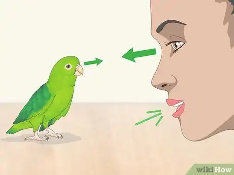 Image titled Interact with Your Parrotlet Step 13