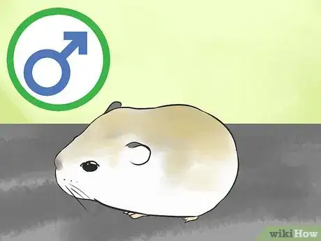 Image titled Know if a Hamster Is Right for You Step 19
