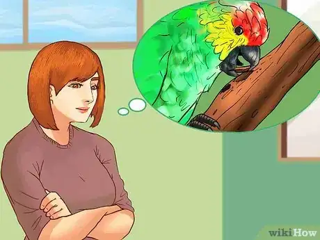 Image titled Know if an Amazon Parrot Is Right for You Step 11