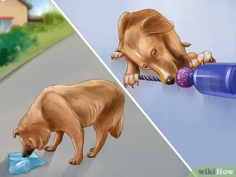 Image titled Give Your Dog Healthy Attention Step 16