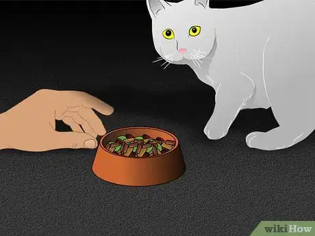 Image titled Care for Physically Abused Cats Step 12
