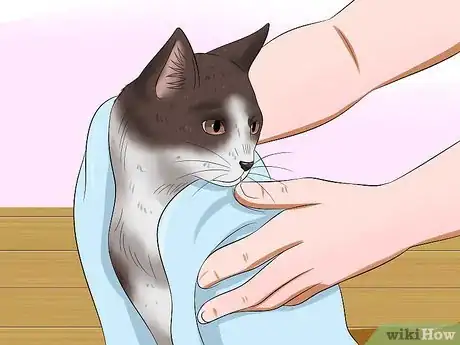 Image titled Bathe Your Cat With a Damp Towel Step 10