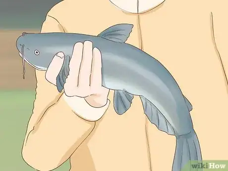 Image titled Hold a Catfish Step 5