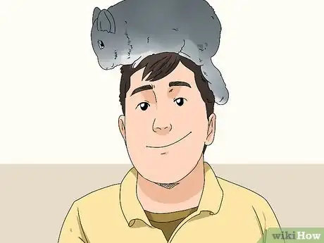 Image titled Deal with a Biting Chinchilla Step 11