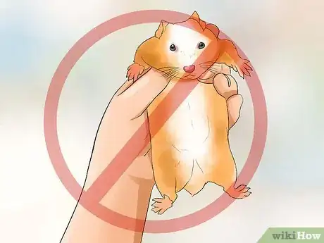 Image titled Pick up Your Hamster Step 13