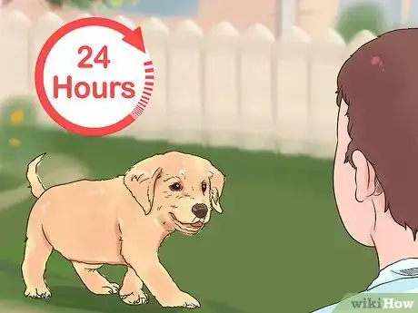 Image titled Give Puppy Shots Step 21