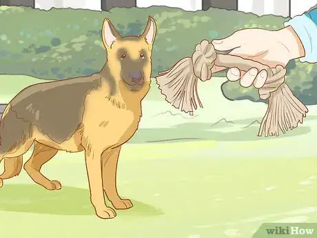 Image titled Stop Destructive Behavior in Dogs Step 14