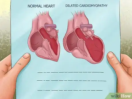 Image titled Diagnose Heart Conditions in Doberman Pinschers Step 12