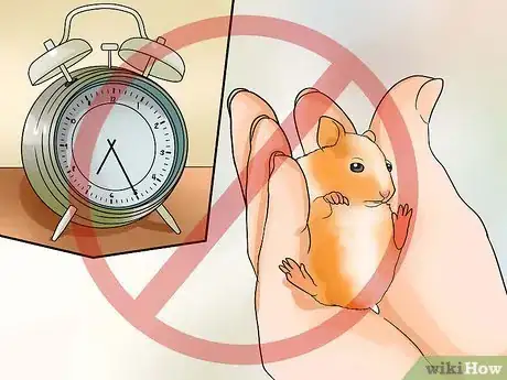 Image titled Pick up Your Hamster Step 11