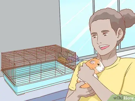 Image titled Help Your Guinea Pig Adjust to You Step 11