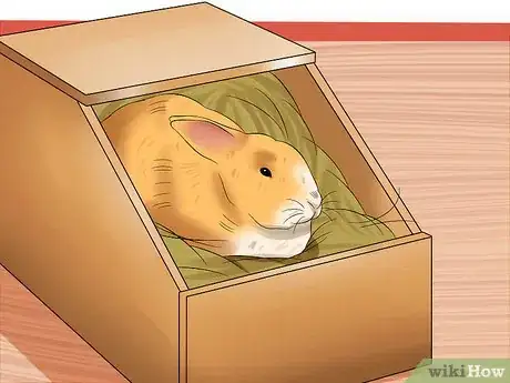 Image titled Prepare for Baby Bunnies Step 8