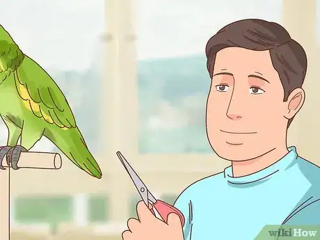 Image titled Clip a Parrot's Wings Step 1