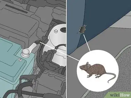 Image titled Get a Mouse Out of Your Car Step 9