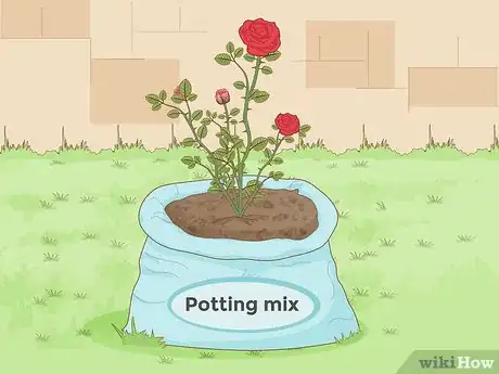 Image titled Prepare Soil for Roses Step 8