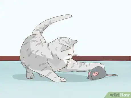 Image titled Get Your Cat to Purr Step 6