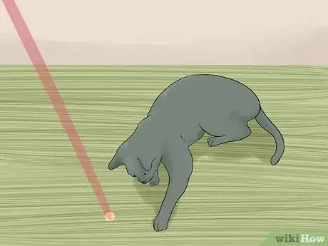 Image titled Identify a Korat Cat Step 10