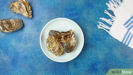 Image titled Clean Oysters Step 1