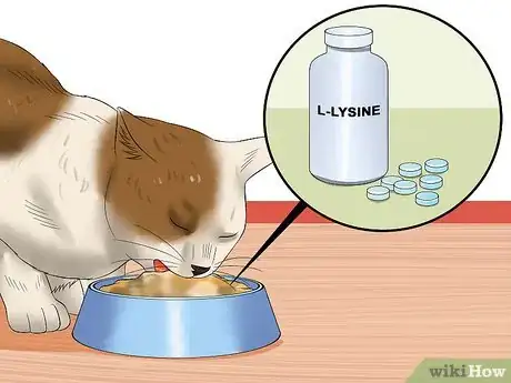 Image titled Care for an FIV Infected Cat Step 8