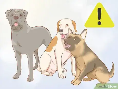 Image titled Stop Destructive Behavior in Dogs Step 16