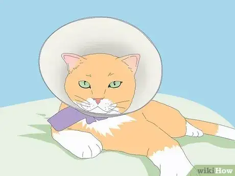 Image titled Get Your Cat to Know and Love You Step 10