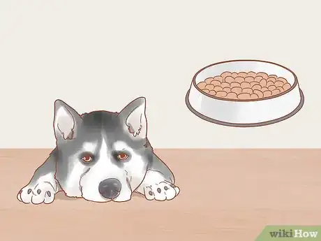 Image titled Get a Dog to Stop Whining Step 3