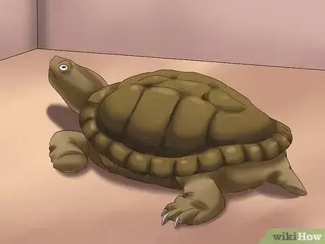 Image titled Make a Turtle Trap Step 9