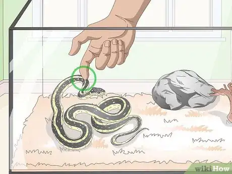 Image titled Tame Snakes Step 3
