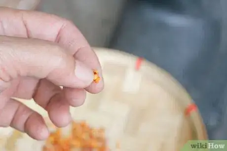 Image titled Preserve Seeds from Bell Peppers Step 8