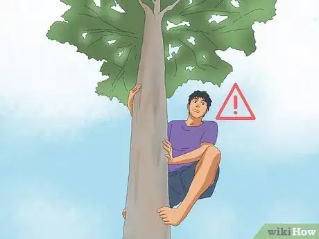 Image titled Climb a Tree With No Branches Step 16