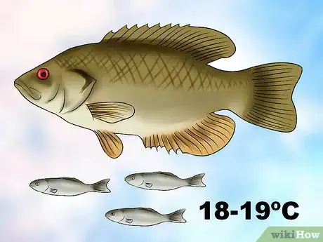 Image titled Start a Fish Hatchery Step 5