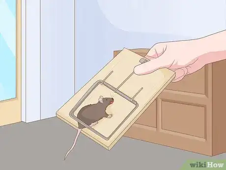 Image titled Get a Mouse Out of the House Step 7
