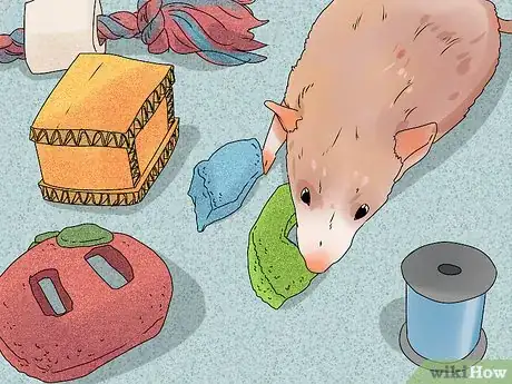 Image titled Take Care of a Paralyzed Rat Step 9