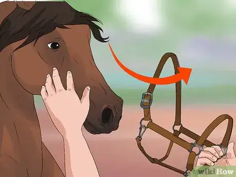 Image titled Put the Bit in a Horse's Mouth Step 13