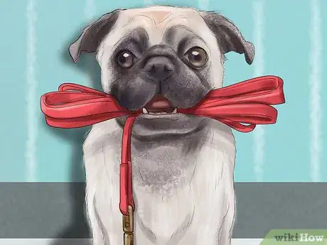 Image titled Teach a Dog to Tell You when He Wants to Go Outside Step 5