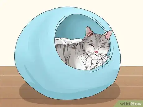 Image titled Get a Cat to Stop Meowing Step 8