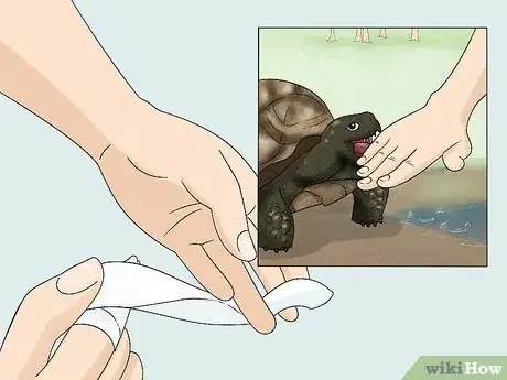 Image titled Handle a Tortoise Step 14
