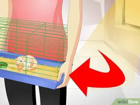 Image titled Take Care of an Overheated Guinea Pig Step 3