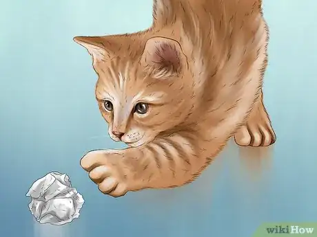 Image titled Identify a Singapura Cat Step 6