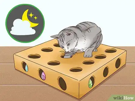 Image titled Get a Cat to Stop Meowing Step 7