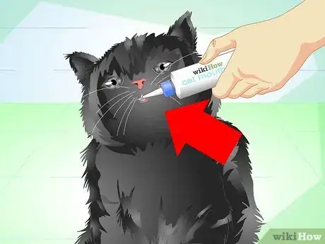Image titled Get Rid of Bad Cat Breath Step 3