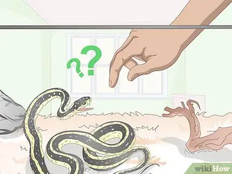 Image titled Tame Snakes Step 4