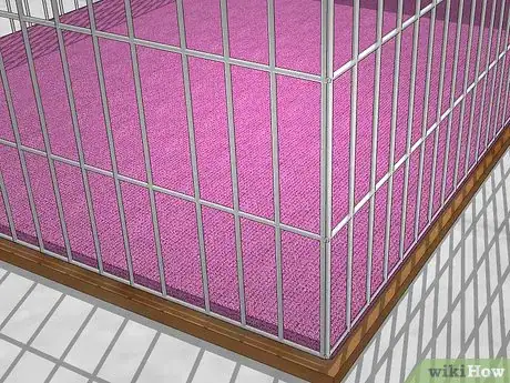 Image titled Set Up a Guinea Pig Cage Step 52