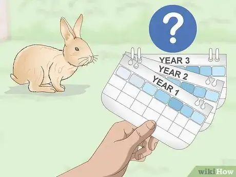 Image titled Determine Whether to Have Your Rabbit Neutered Step 3