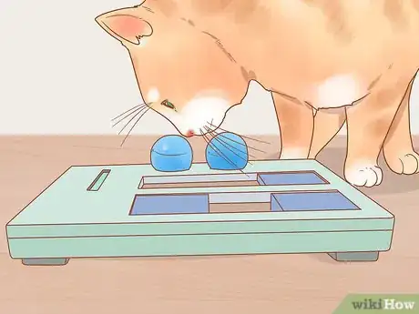 Image titled Stop Your Cat from Begging Step 11