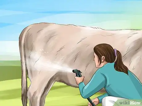 Image titled Clean a Cow Step 5