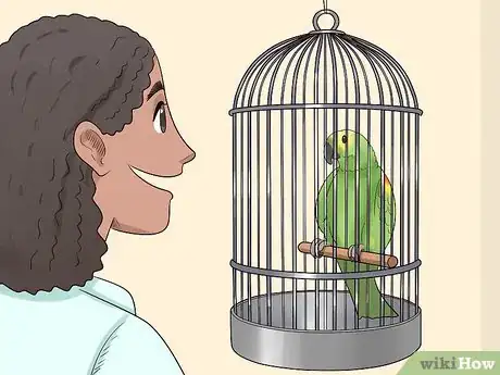 Image titled Treat Tumors in Amazon Parrots Step 16