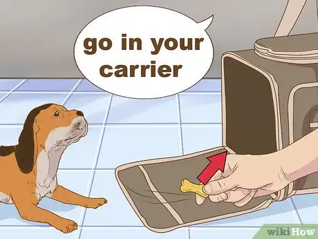 Image titled Get Your Dog to Ride in a Carrier Step 7