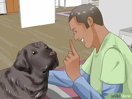 Image titled Make Your Labrador Retriever Happier Step 14