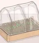 Make a Mini Greenhouse