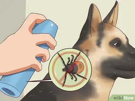 Image titled Prevent Ticks on Dogs Step 9